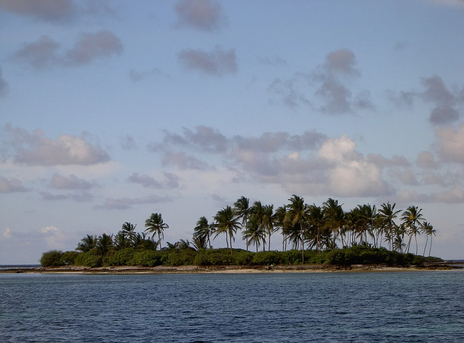 Small island of coconut palms rising from calm sea under a cloudy sky