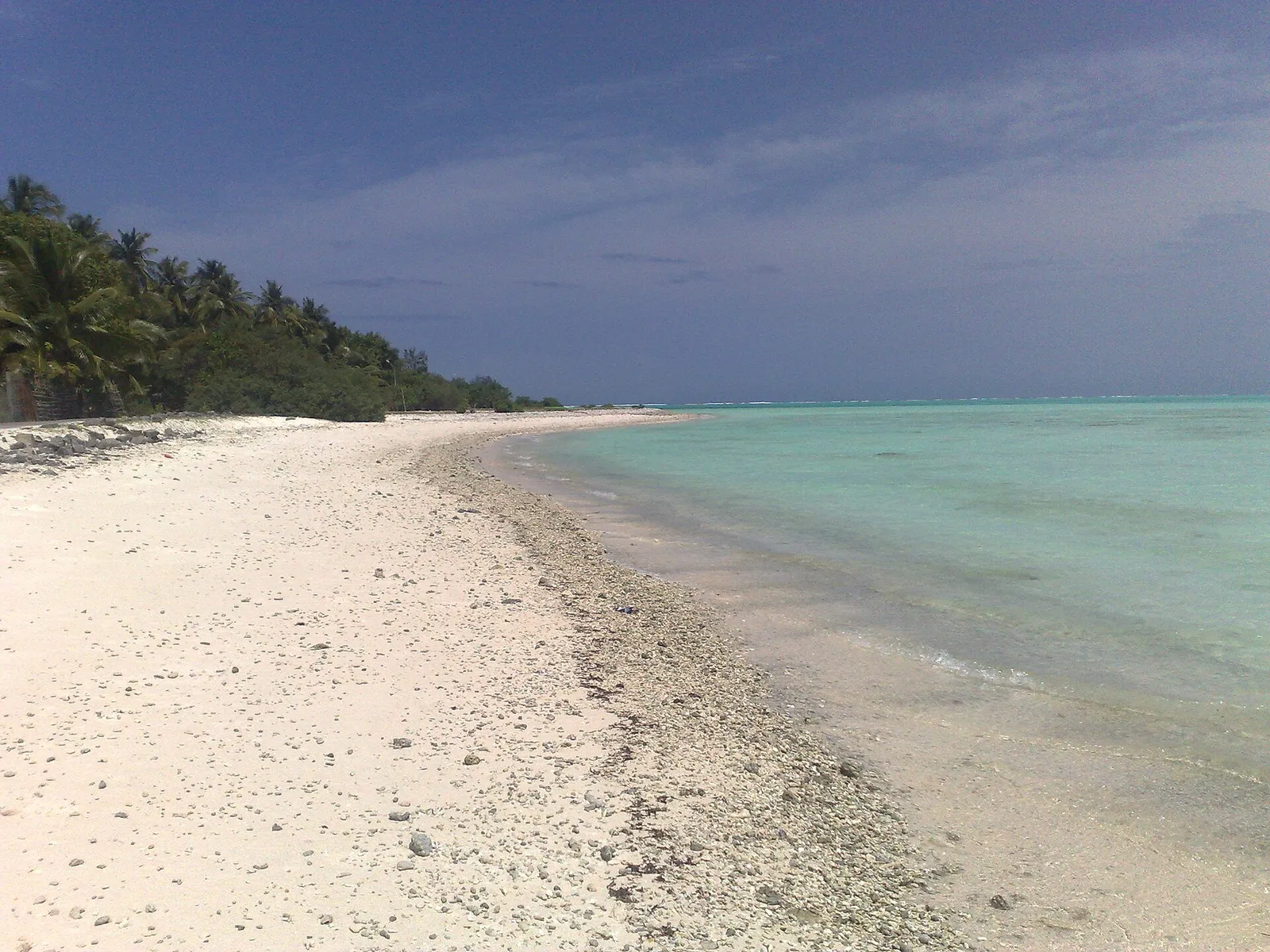 Curving white coral-sand beach beside a pale-green lagoon, with coconut palms along the shore